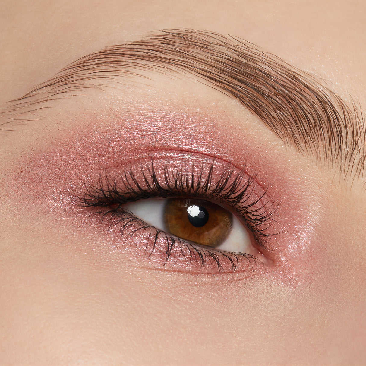 Eye & Body Powder Pigment