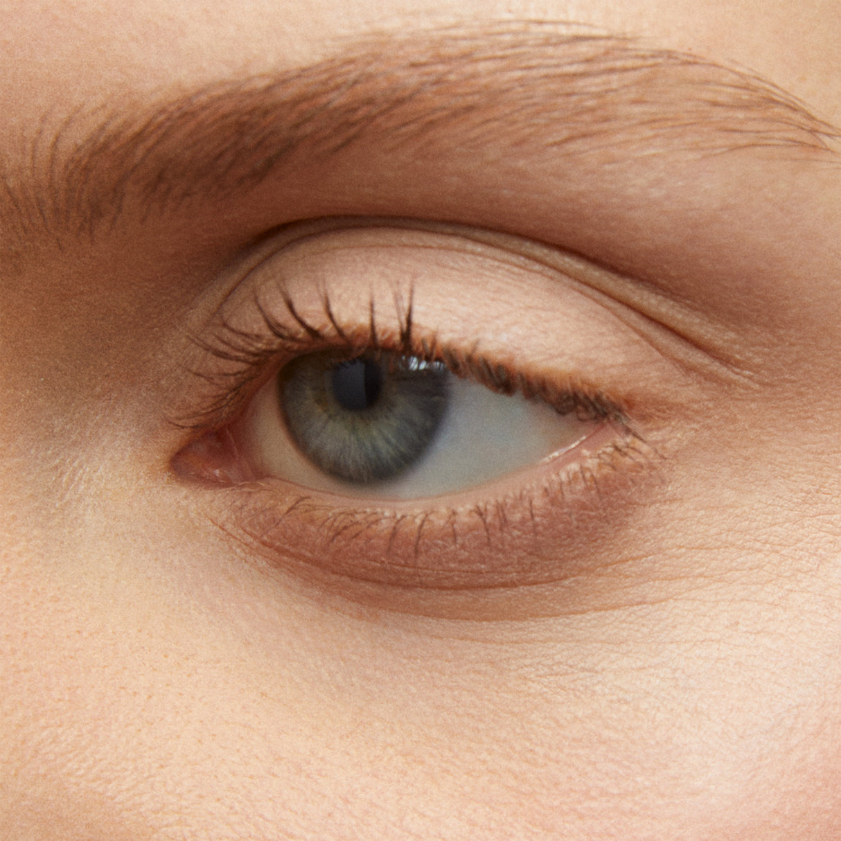 Freedom System Soft Matte Oogschaduw