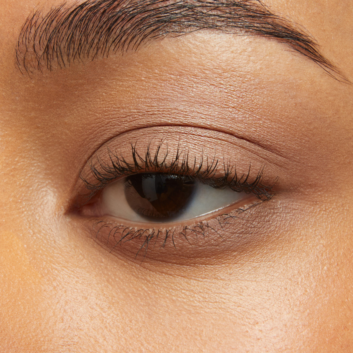 Freedom System Soft Matte Oogschaduw