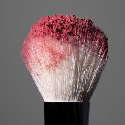 Freedom System Luscious Cheek Face Blush