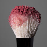 Freedom System Luscious Cheek Face Blush