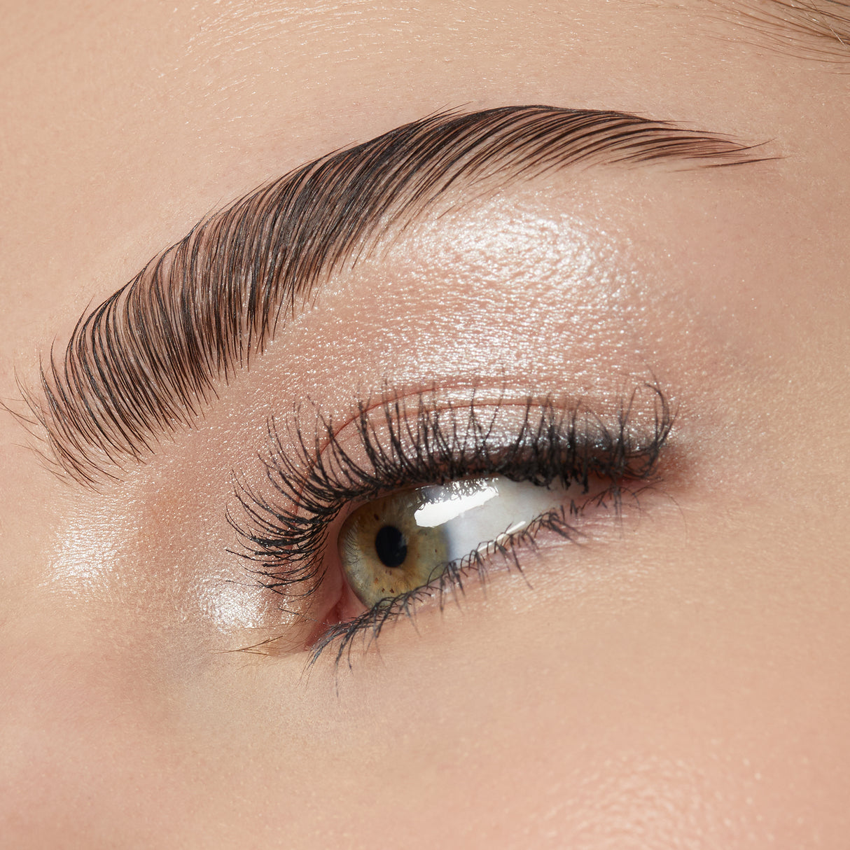 Eye & Body Powder Pigment