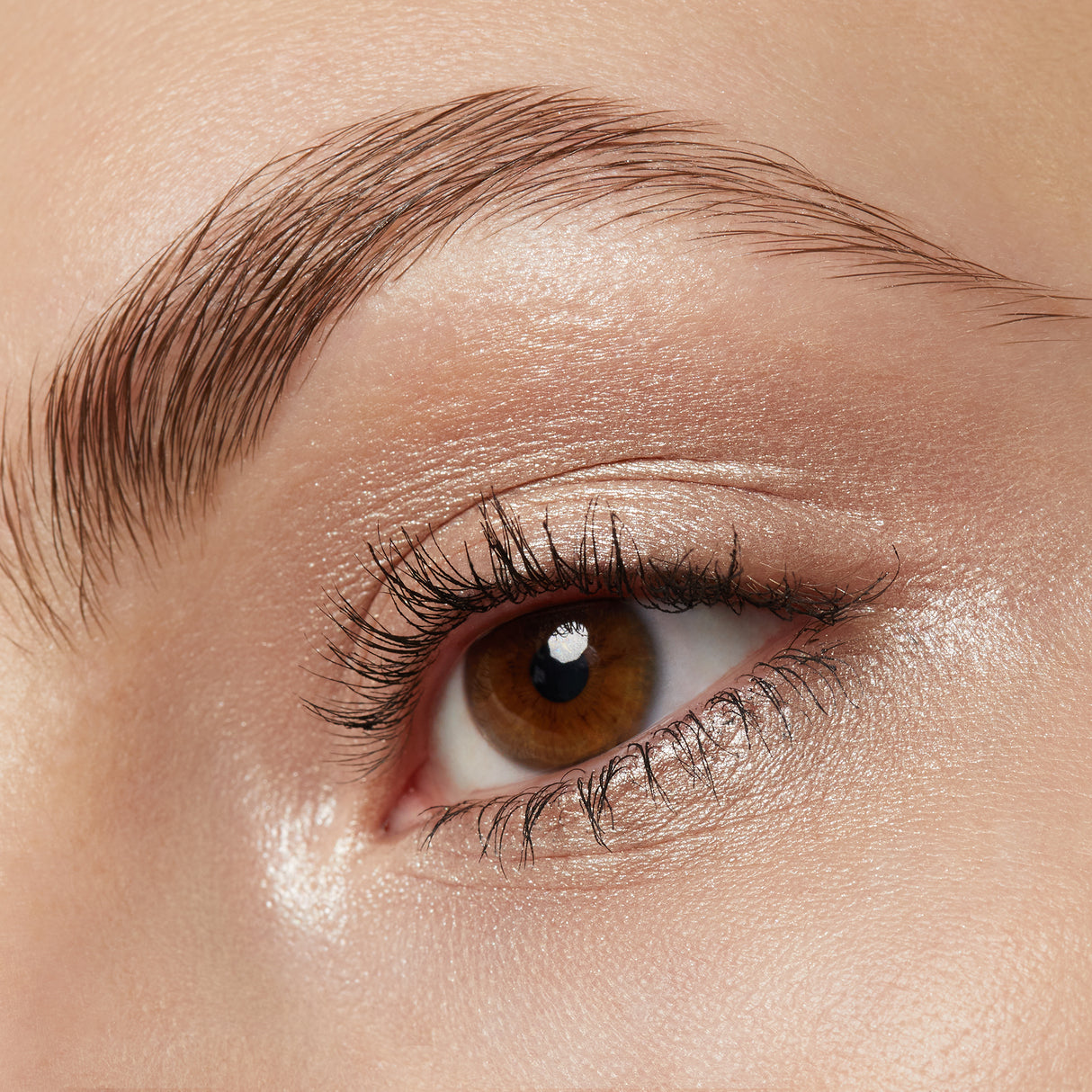 Eye & Body Powder Pigment