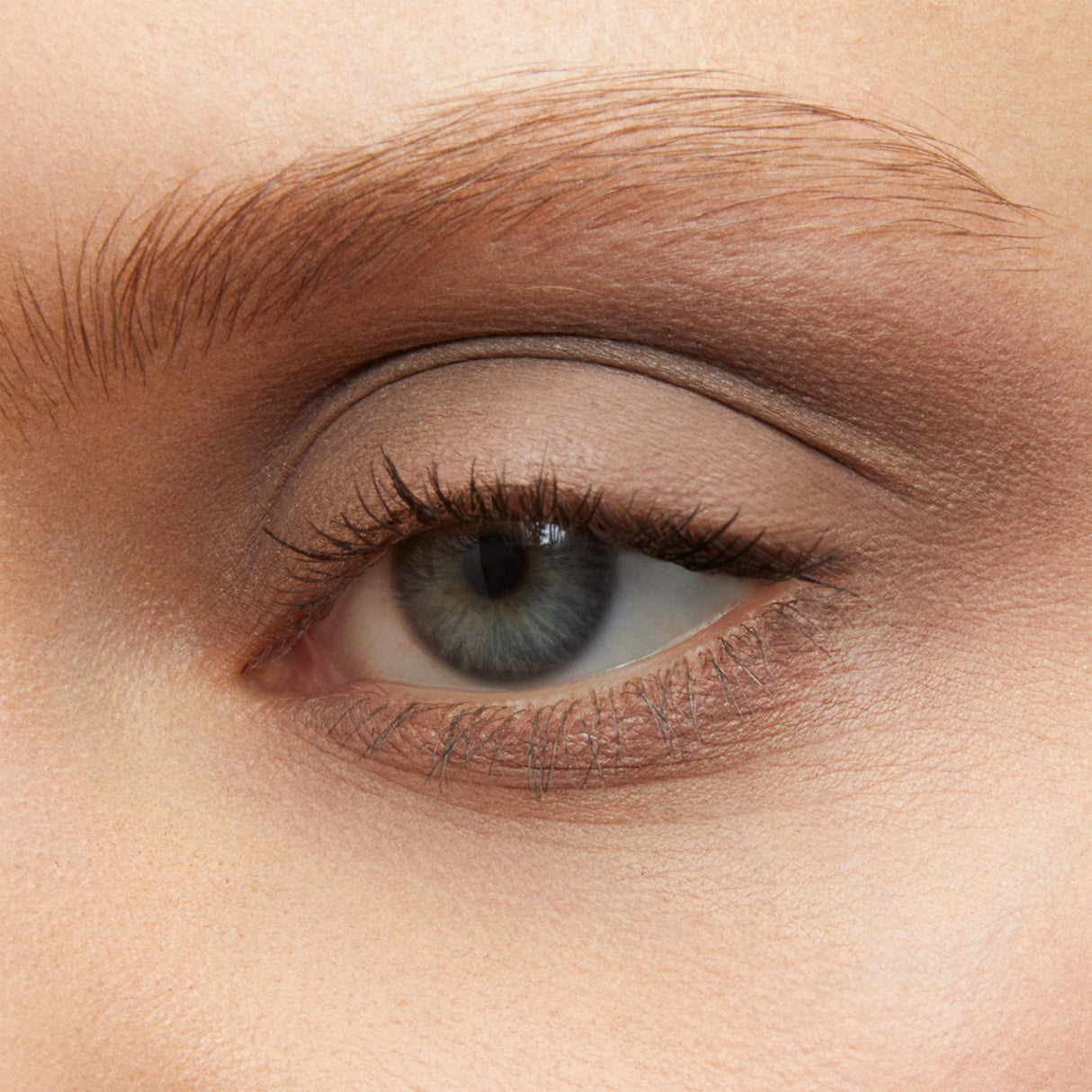 Freedom System Soft Matte Oogschaduw