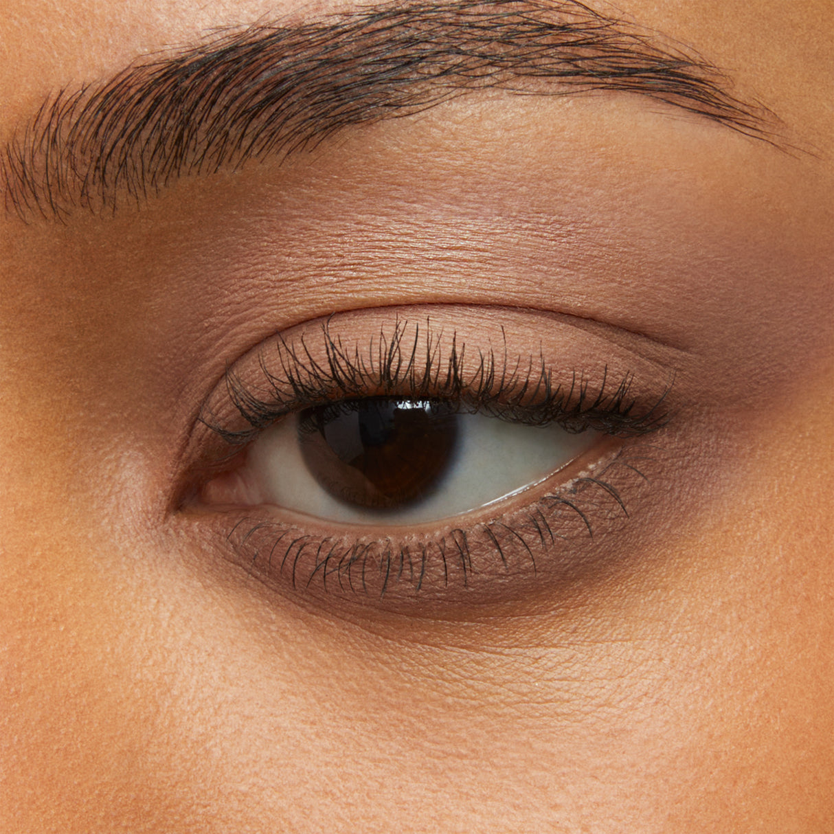 Freedom System Soft Matte Oogschaduw