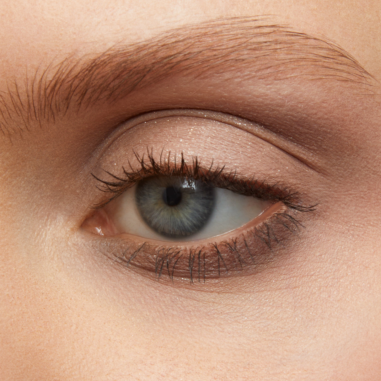 Freedom System Sparkling Oogschaduw